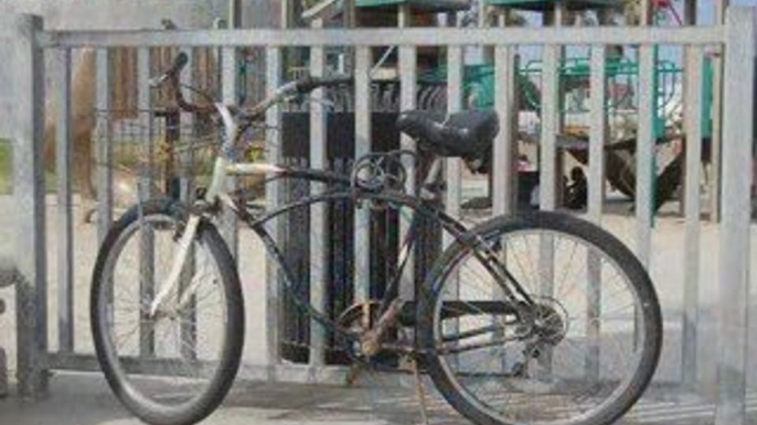 Beach Cruiser Pictorial: Venice Beach California