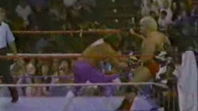 Brutus Beefcake vs. Dino Bravo