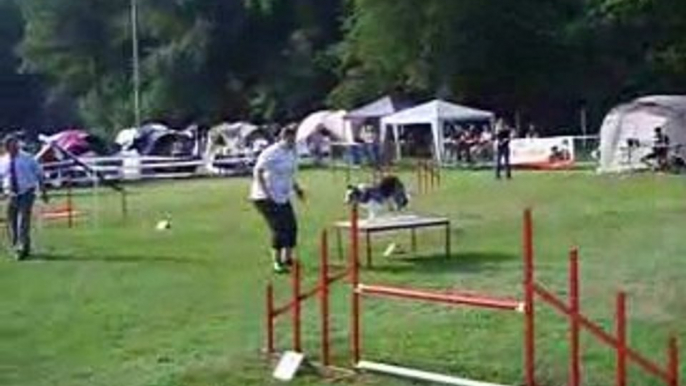 concours agility drusenheim OPEN