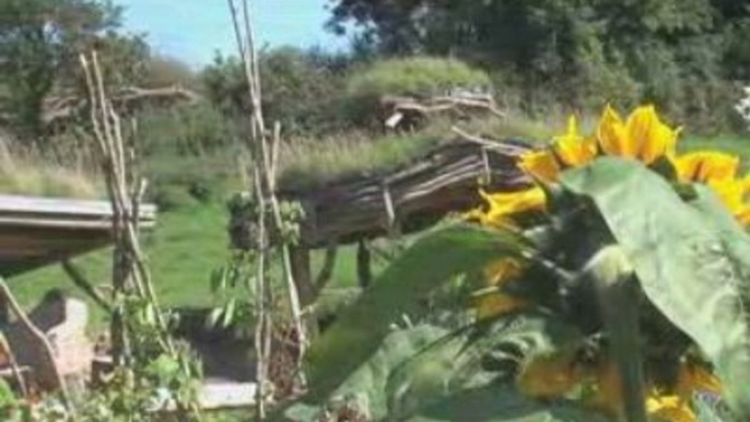 Straw Bale house Building (azbushcraft.com)