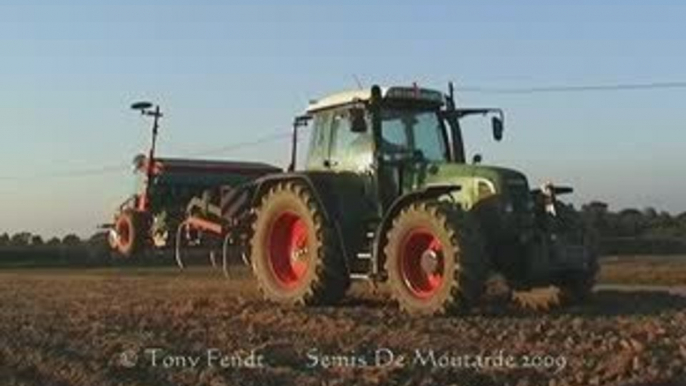 Semis de Moutarde 2009 Par Tony Fendt