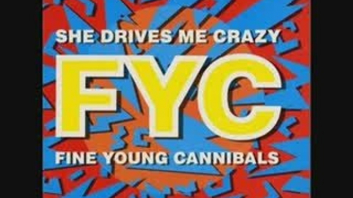 Fine Young Cannibals - She Drives Me Crazy remix