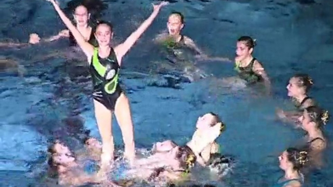 Natation synchronisée, Gala du ballet nautique de Strasbourg