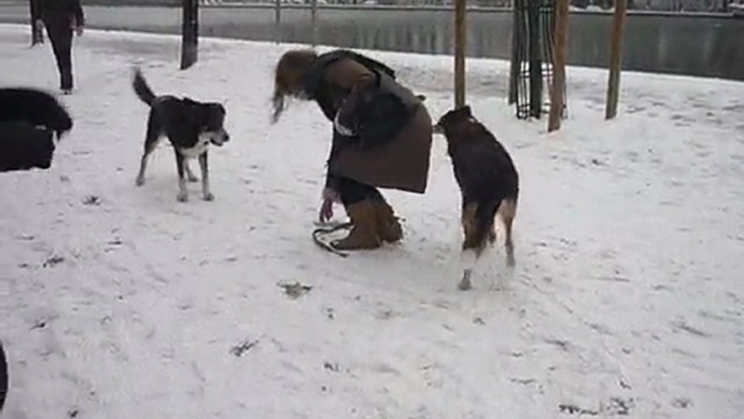 Chien qui se roule dans la neige - Suite de l'après midi