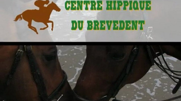 Centre équestre normandie, stage d'équitation normandie