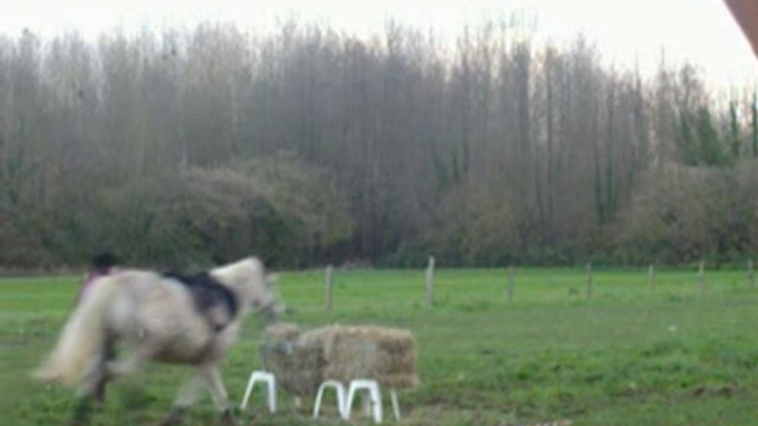 Ma jument qui saute des bottes de foin 1 métre championne