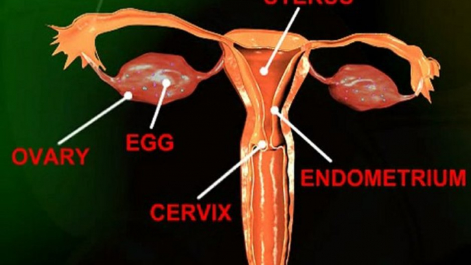 Menopausia (v.o. ingles)