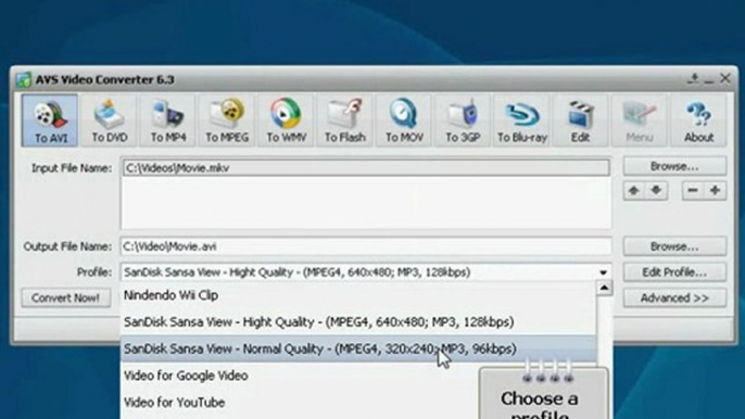 Convert mkv to avi with subtitles.