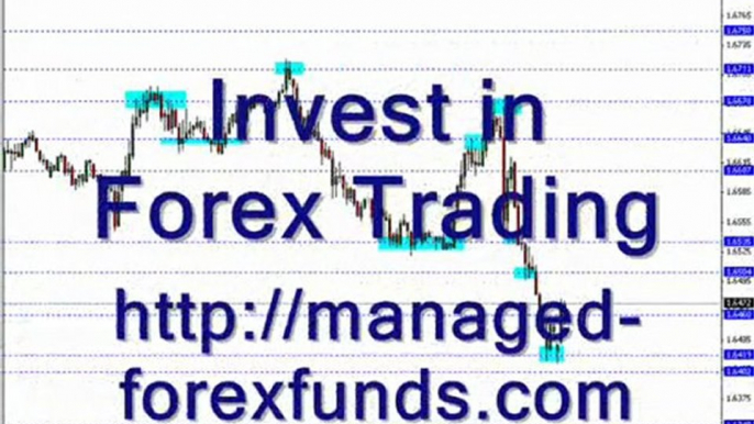 managed forex funds