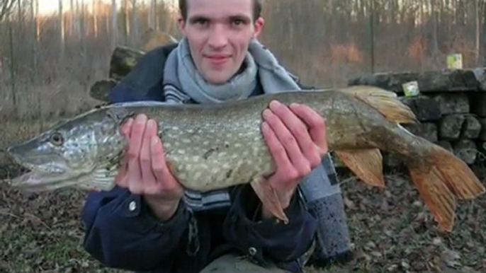 SAISON 2009 carpes silures entre amis !!!!!!!!!!!!!!!!!!!!!!