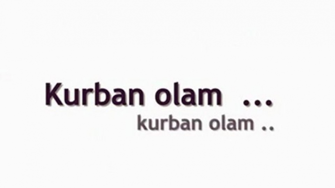 Kurban Olam