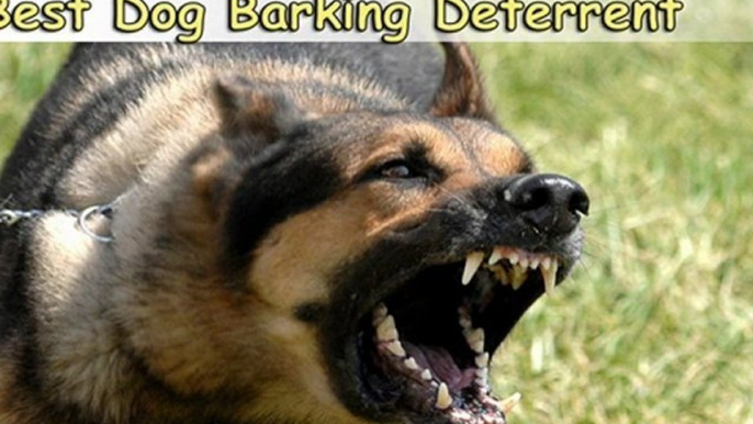 Dog Barking Deterrent-Best Dog Barking Deterrent