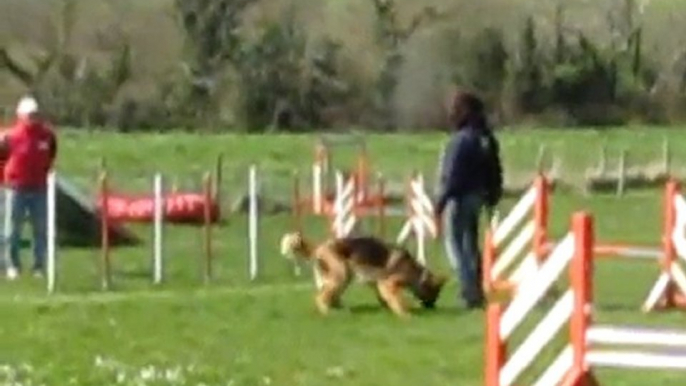 Agility 1, Deuxième parcours