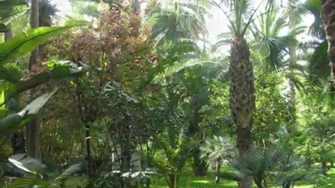 Jardin Majorelle Marrakech