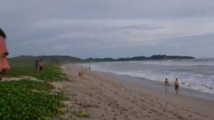 Playa Guiones Costa Rica