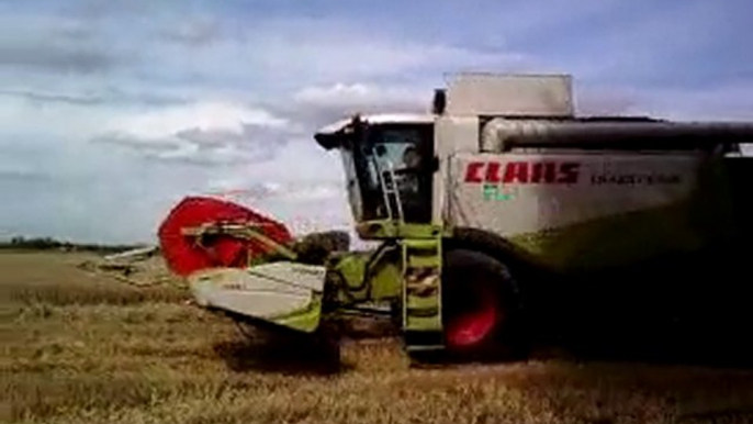 Moisson à Merris Claas Lexion 540