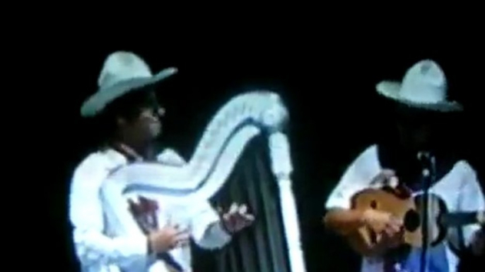 harp-ensamble folklorico de veracruz- VERSOS JAROCHOS