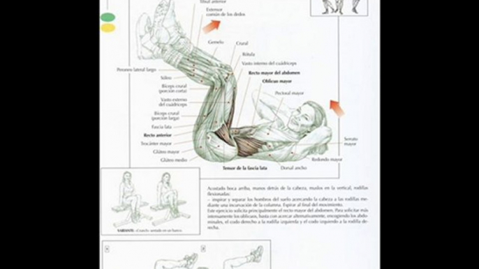 Ejercicio abdominal para hombre y mujer