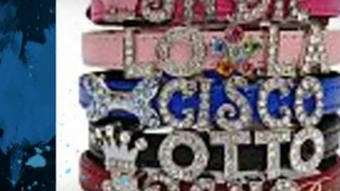 Hollywood Jeweled Dog Collars, Custom, Personalized Collars