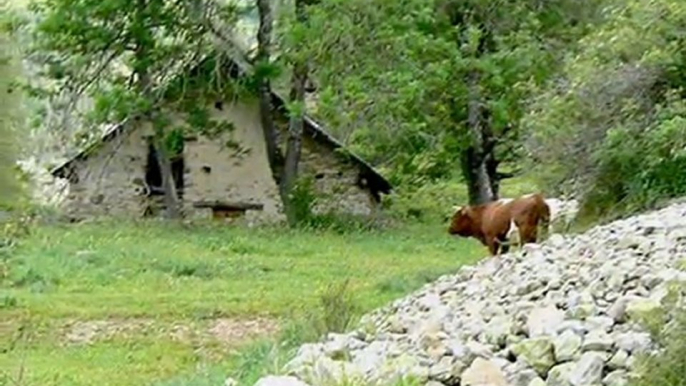 Voyage en hautes Alpes et à Briançon au pays des marmottes