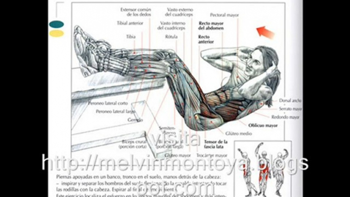 Ejercicios para el abdomen