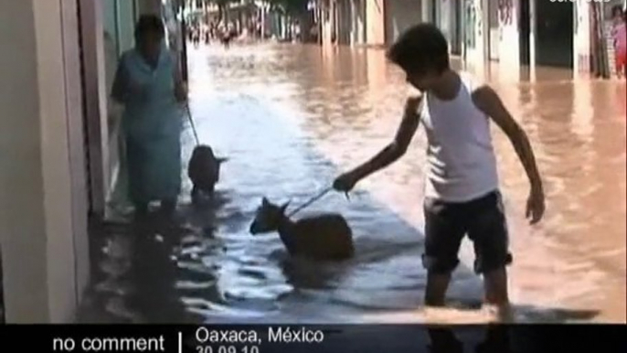 Mexico mudslide kills 16 in southern... - no comment