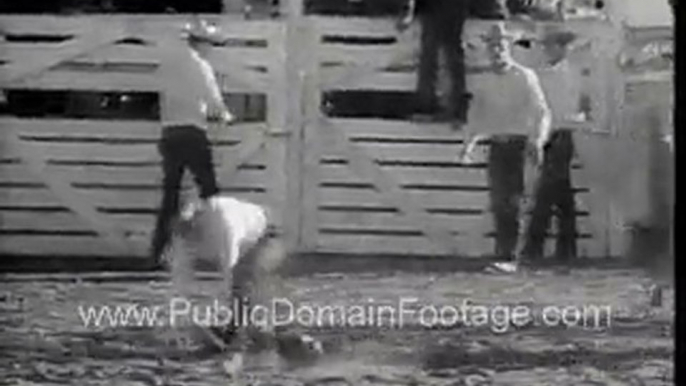 Rodeo Spills Archival Stock Footage PublicDomainFootage.com