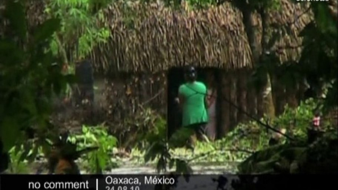 Tropical storm Frank hits Mexico - no comment