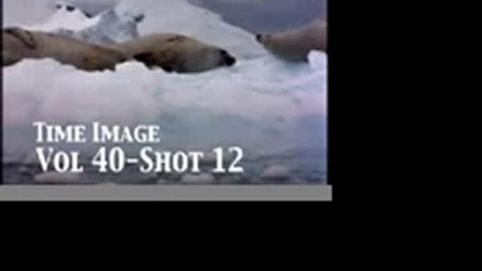 Antarctic Stock Footage Vol 40 www.PublicDomainFootage.com