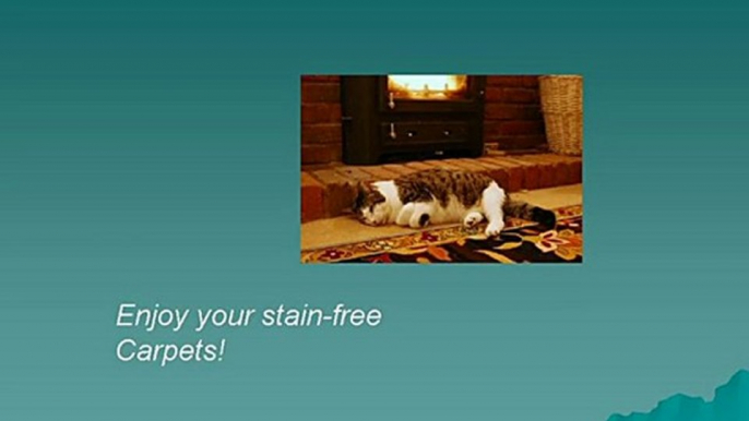 Carpet Cleaning Remove Those Heavy Stains