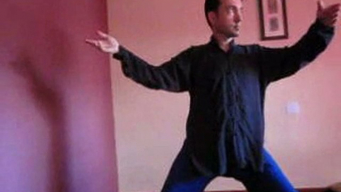 Taichi chuan taiji  taichi yang