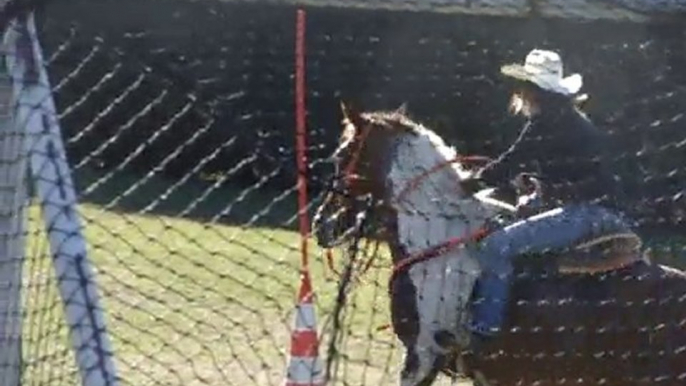 Fête du cheval à Malmont - démonstration équitation western