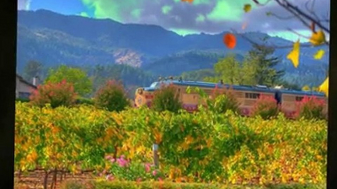 Sonoma Wine Tours | Napa Valley Wine Tours | Elite Limousine