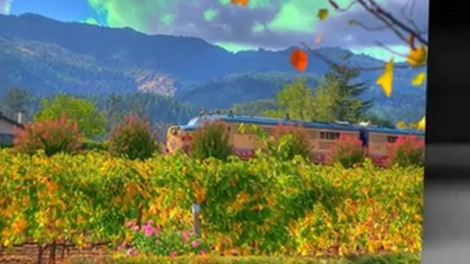 Sonoma Wine Tasting Tours | Sonoma Wine County Tour | Napa