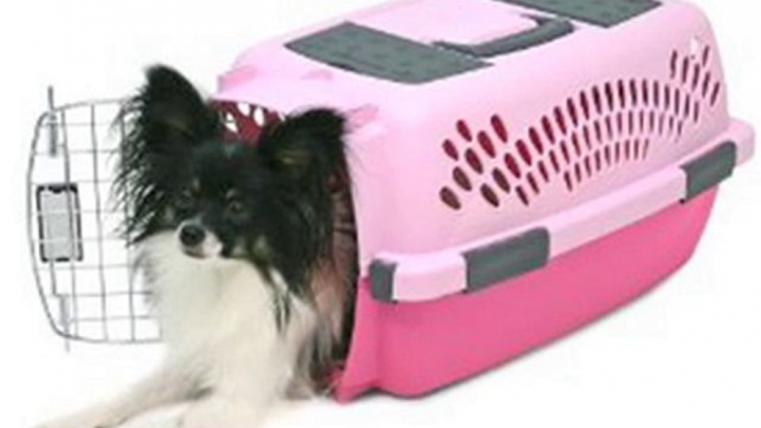 Petmate Pet Taxi Fashion Kennel, Small, Light Pink/Dark Pink