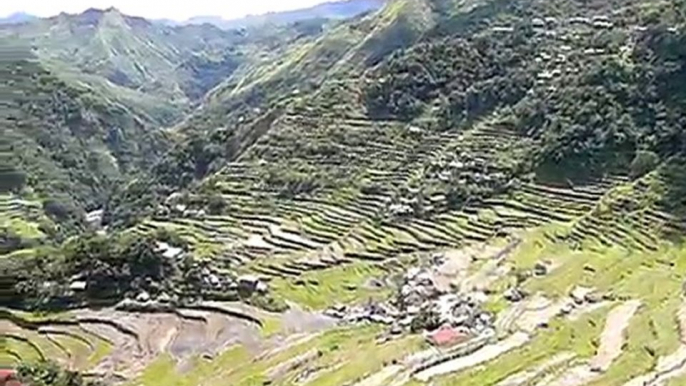 Rice terraces in Batad