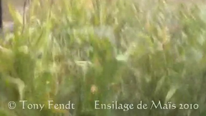 Ensilage De Maïs 2010 Séquence N°3 Par Tony Fendt