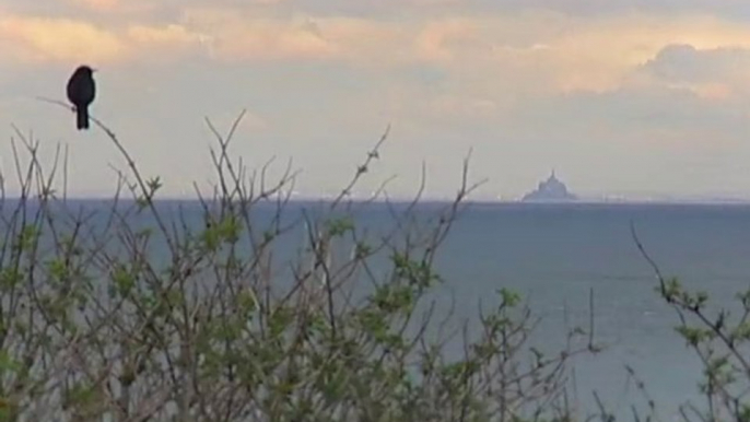 Une chambre d'hôtes à Cancale - Les escapades de Philippe