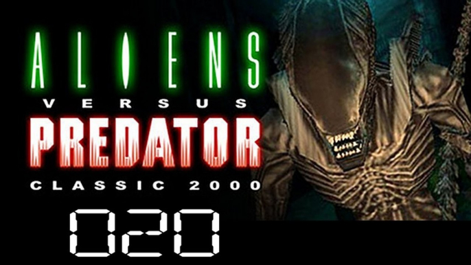 Let's Play Aliens versus Predator Classic 2000 - 20/33 - Aliens über Aliens