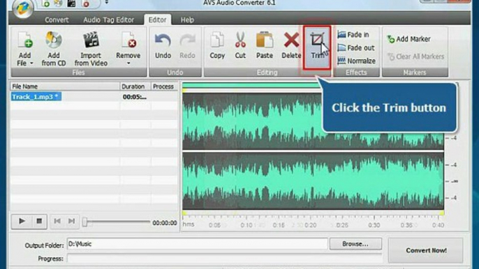 Make iPhone Ringtones using AVS Audio Converter