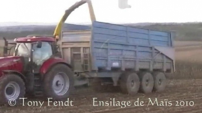 Ensilage de Maïs 2010. N°3 Tony