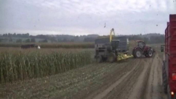 Ensilage de Maïs 2010. N°4 Tony