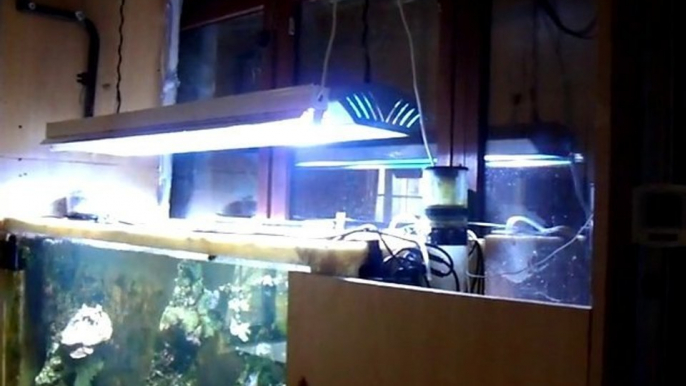 fibre de verre pour un aquarium^^ suite