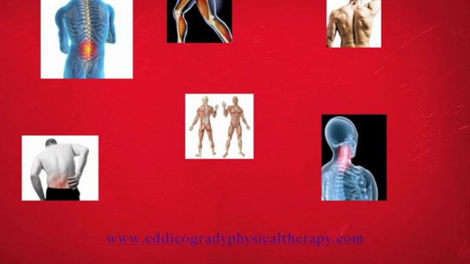 Physical Therapist versus Physiotherapistal keywords here.