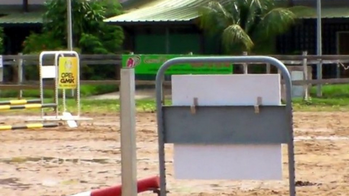 1er concours de saut d'obstacles  pour Léa