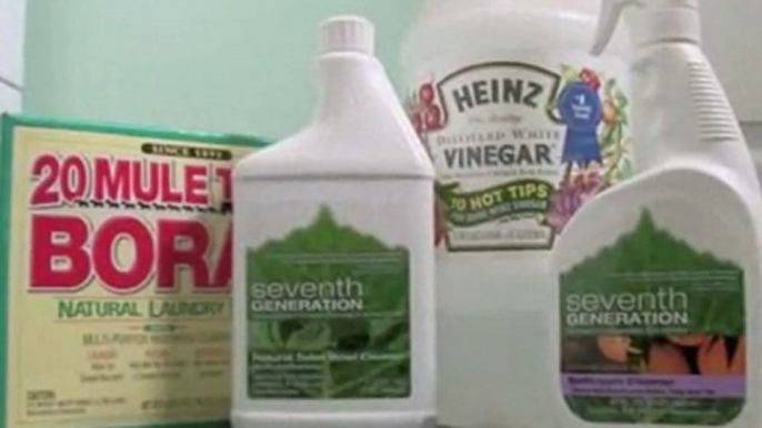 Cleaning Products : What kind of cleaning products are better for my family and the environment?