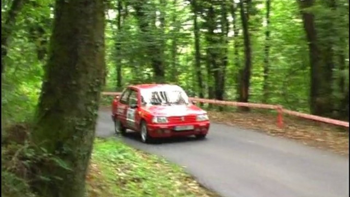 Rallye du thore 2010 Team KRS 309 gti f2000