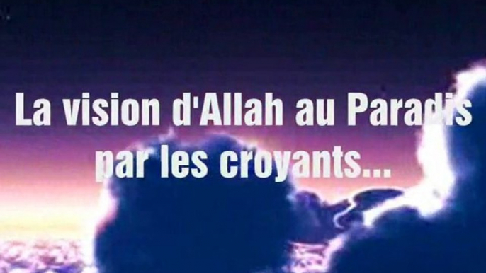 La vision d'Allah au Paradis par les croyants