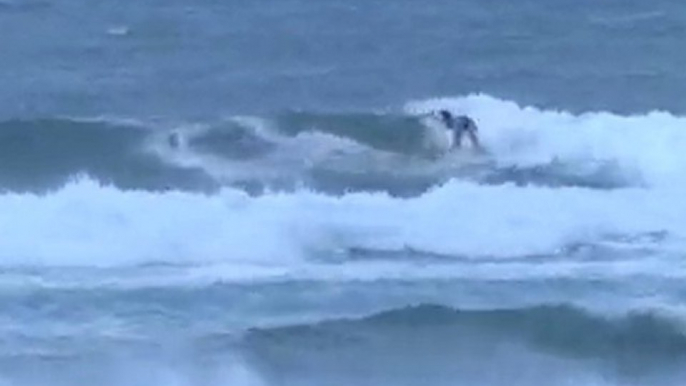 Womens Wave of the Day at the ONeill World Cup of Surfing