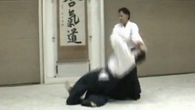 Aikido master - entrainement force attractive